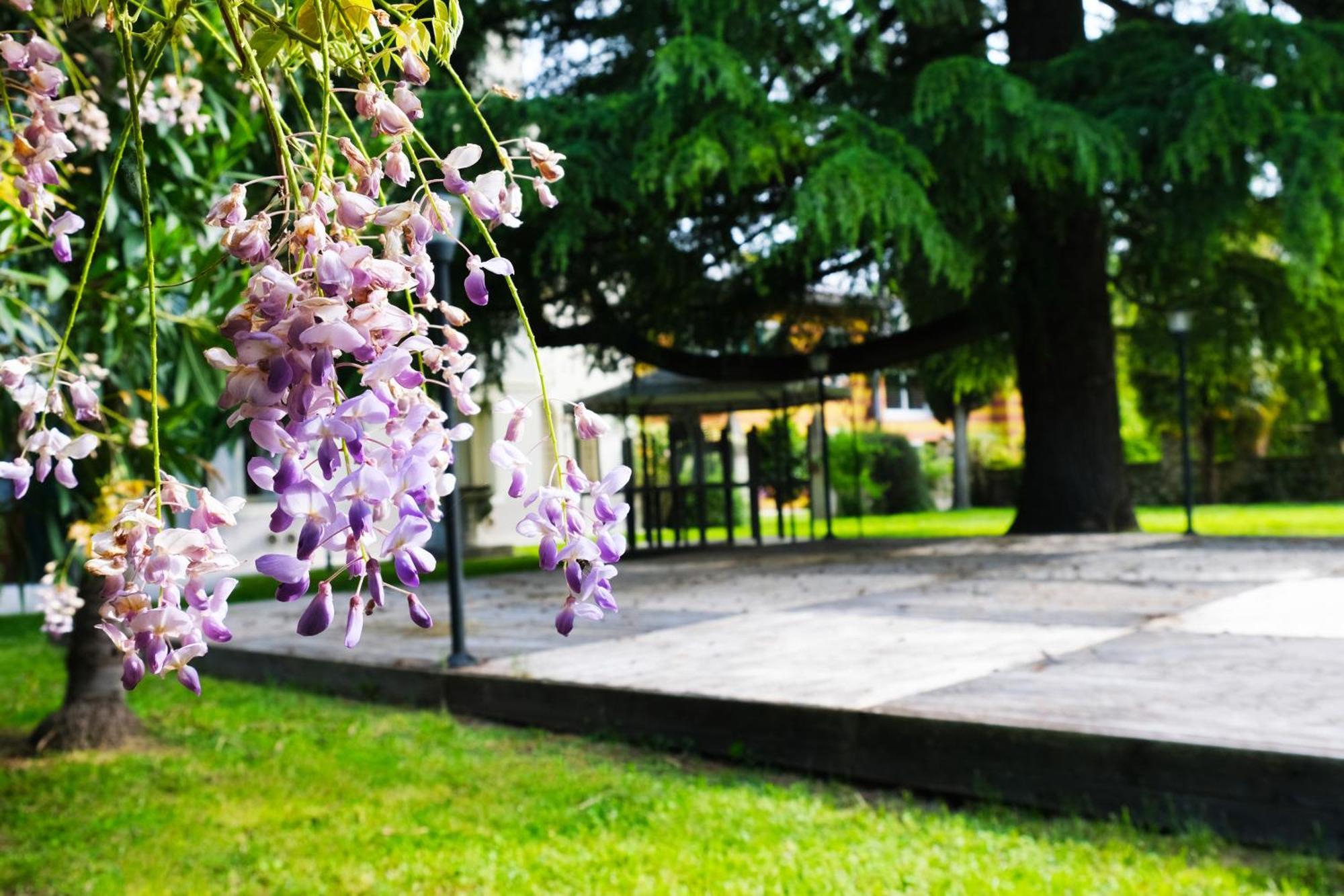 Hotel Villa Ca Damiani Канева Экстерьер фото