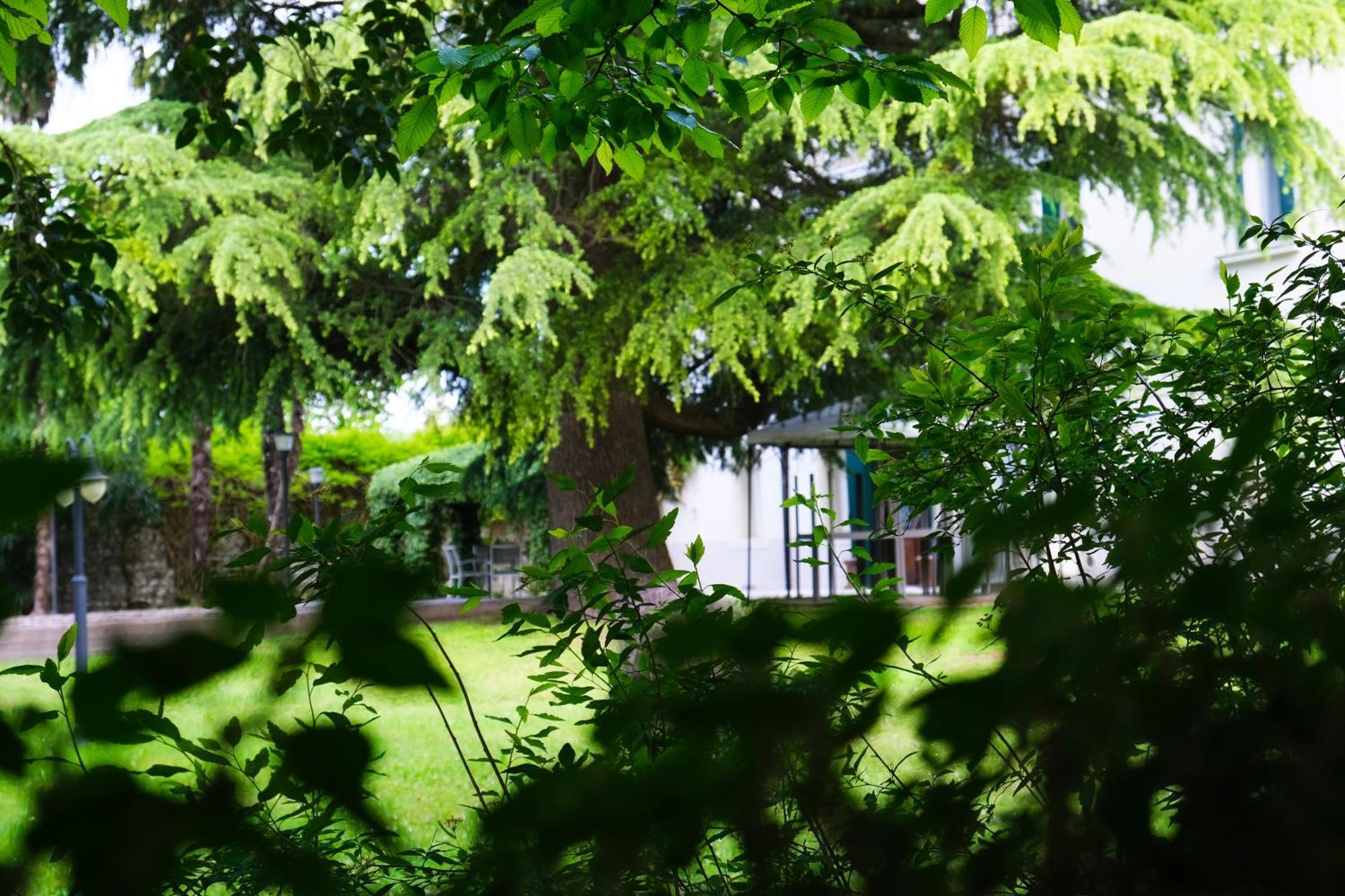 Hotel Villa Ca Damiani Канева Экстерьер фото